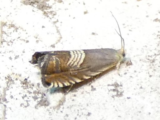 photo_1